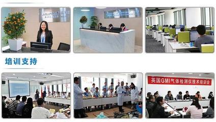 美國福祿克F319交直流數字鉗表 技術解析、選購指南與應用場景